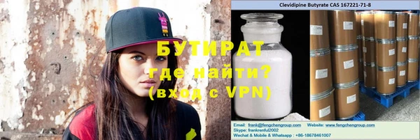 крисы Бородино