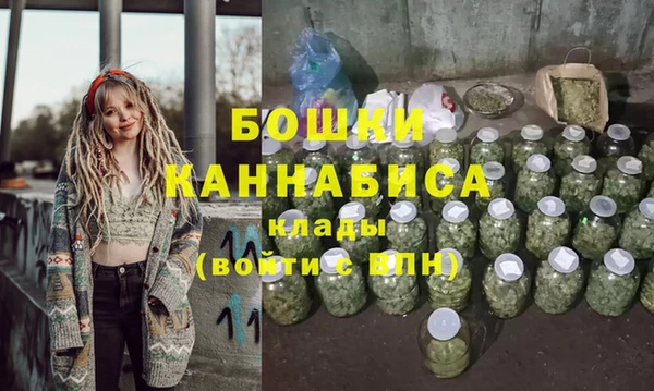 крисы Бородино