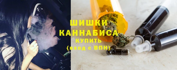 крисы Бородино