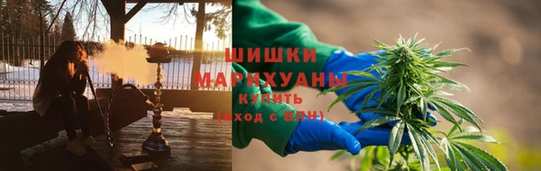 крисы Бородино
