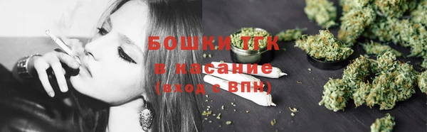 крисы Бородино