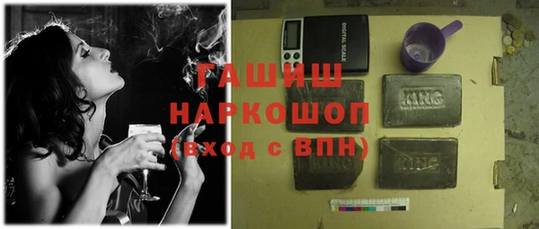 крисы Бородино