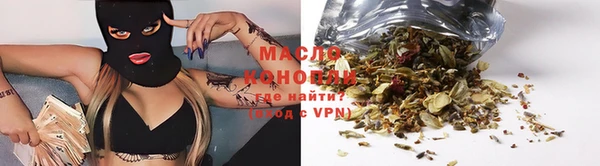 крисы Бородино