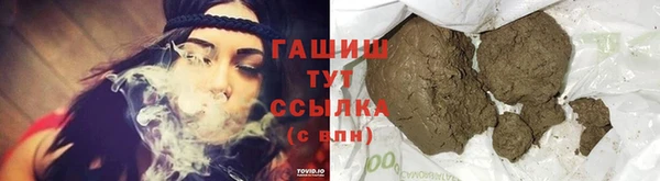 крисы Бородино
