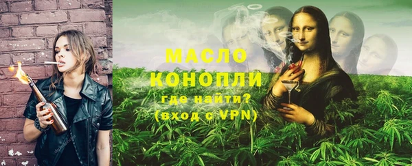крисы Бородино