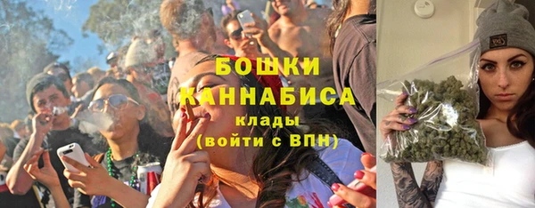 крисы Бородино