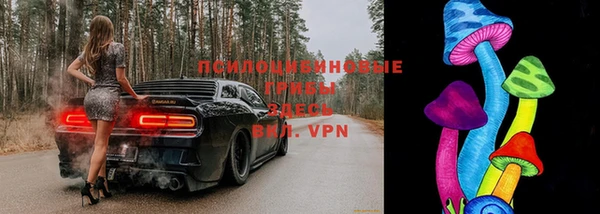 гашик Бронницы