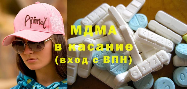 крисы Бородино