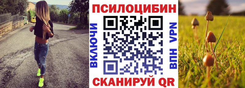 Псилоцибиновые грибы GOLDEN TEACHER  Камбарка 